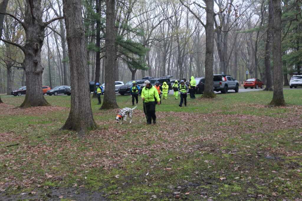 Learning to work with a K9 team