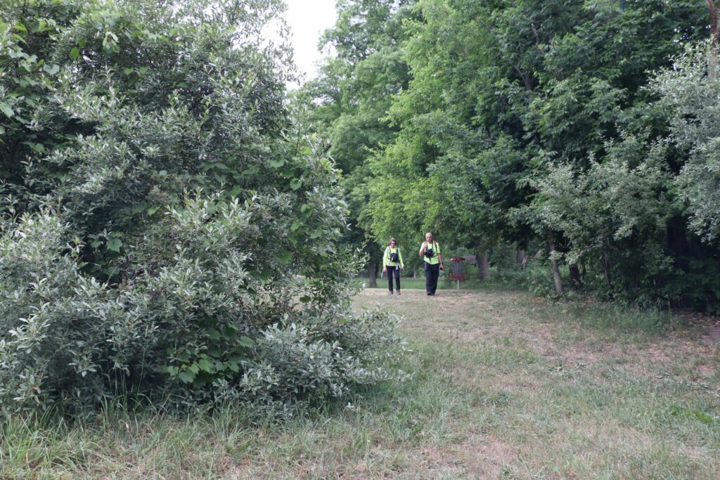 Searchers looking for a missing person.