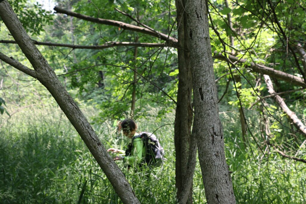 Some search subjects are "lost in the weeds", so that's where we look.