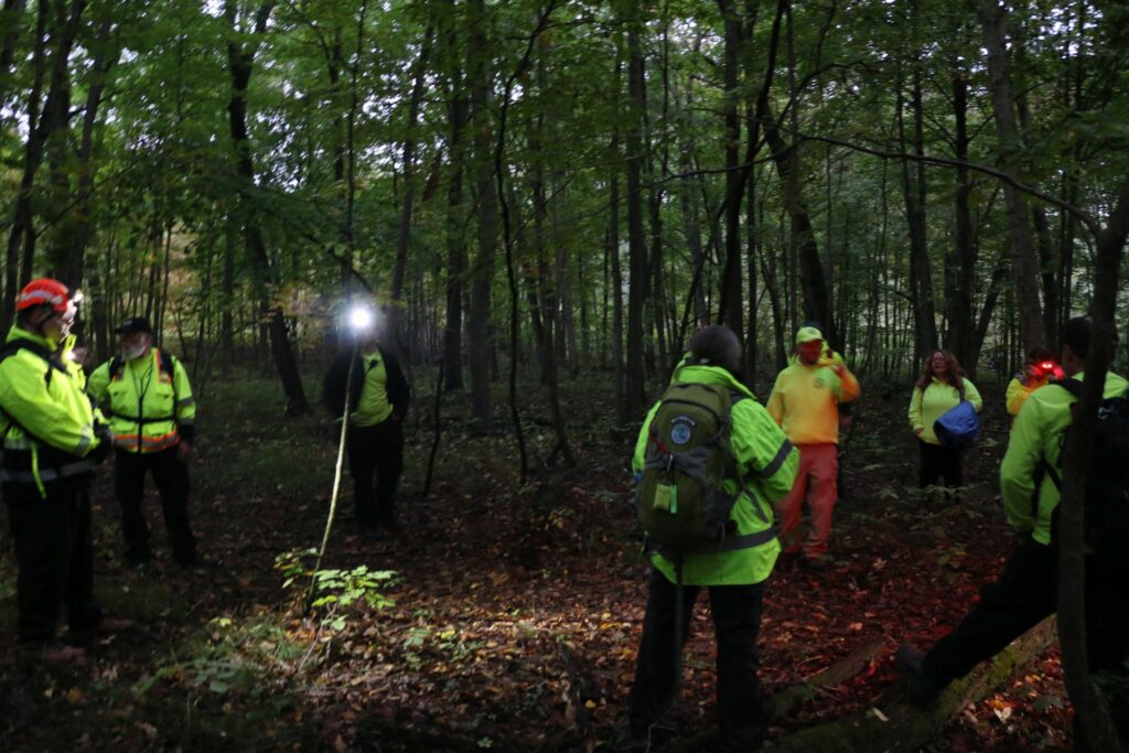 Lights on, it's getting dark in the woods.