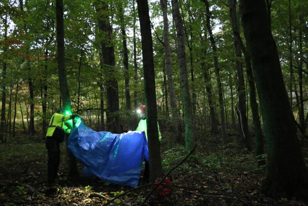 Hanging the tarp over the rope, which is tied between two trees.