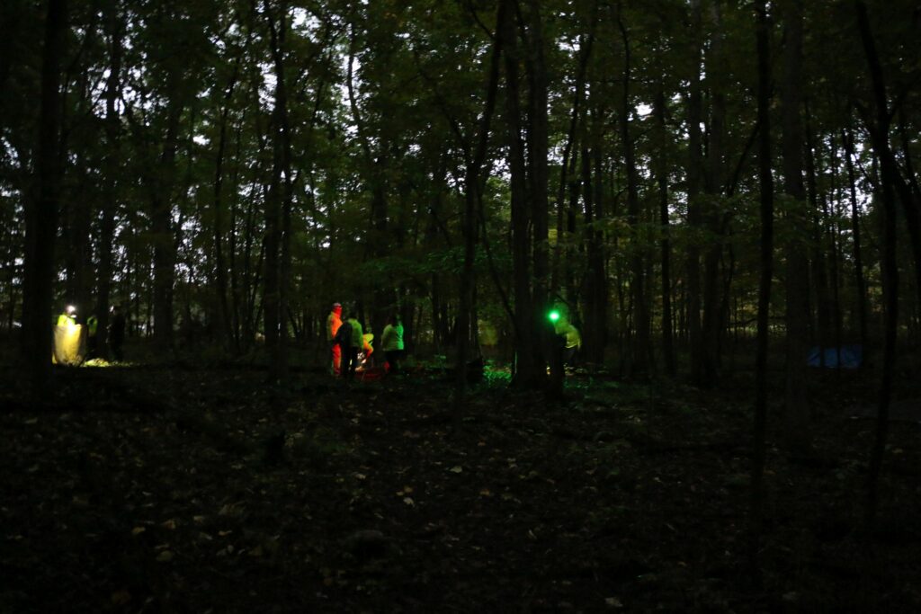 Teams training in the dark woods.
